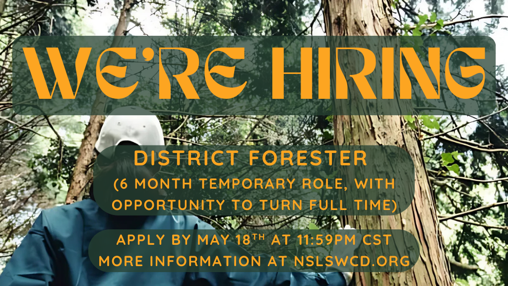 Hiring District Forester